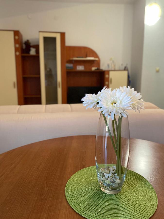 Apartments Mandarina Garden Petrovac エクステリア 写真